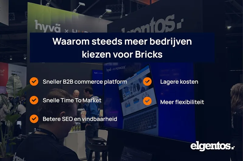 Waarom steeds meer bedrijven kiezen voor Bricks B2B als accelerator
